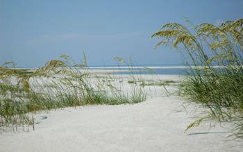 Dauphin Beach - USA