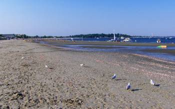 Fairfield Beach - USA