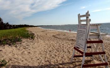 Ferry Beach - USA