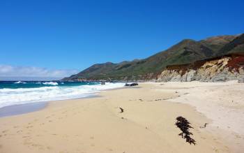 Garrapata State Park Beach - USA