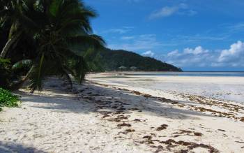 Grand Anse Beach - Seychelles