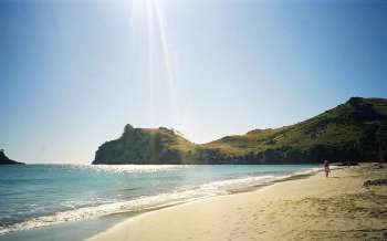 Hahei Beach - New Zealand