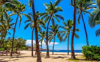 Hulopo'e Bay Beach - USA