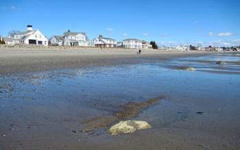 Jenness State Beach - USA