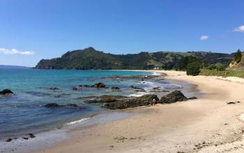 Kuaotunu Beach - New Zealand