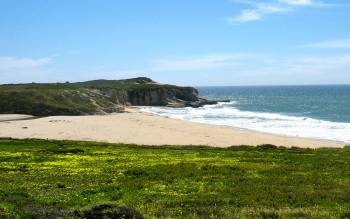 Laguna Creek Beach - USA