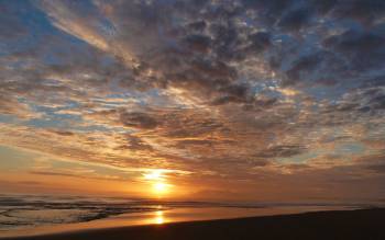 Limantour Beach - USA