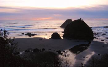 Luffenholtz Beach - USA