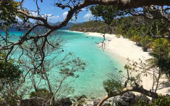 Malcapuya Beach - Philippines