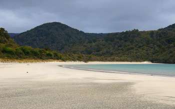 Maori Beach - New Zealand