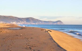 Martil Beach - Morocco