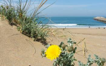 Mehdia Beach - Morocco