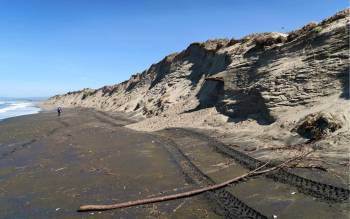 Moss Landing State Beach - USA