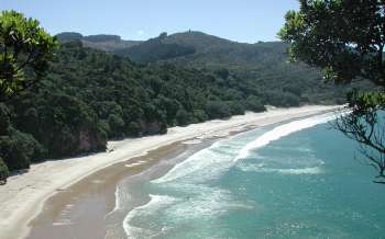 New Chum Beach - New Zealand