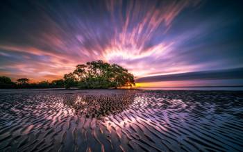 Nudgee Beach - Australia