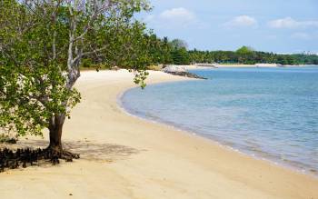 Pasir Ris Beach - Singapore