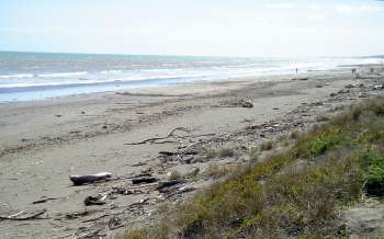 Peka Peka Beach - New Zealand