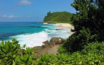 Petit Police Beach - Seychelles