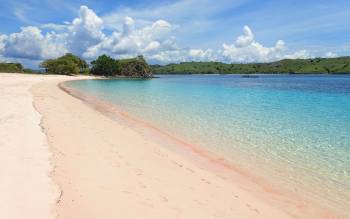 Pink Beach