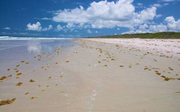 Playalinda Beach - USA