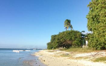 Pointe aux Sables Beach - Mauritius