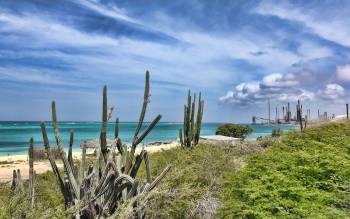 Rodgers Beach - The Caribbean