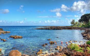 Shark's Cove - USA