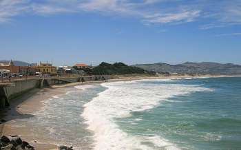 St Clair Beach - New Zealand