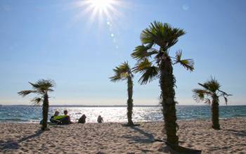 Tropical Beach - Sweden