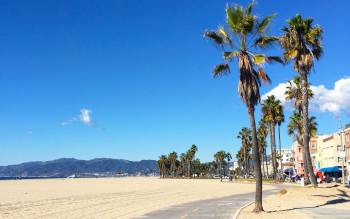 Venice Beach - USA