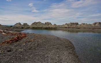 Ward Beach - New Zealand