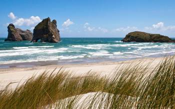 Wharariki Beach - New Zealand