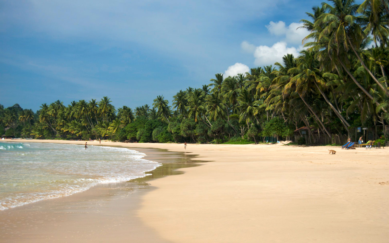 Mirissa Beach - Sri Lanka