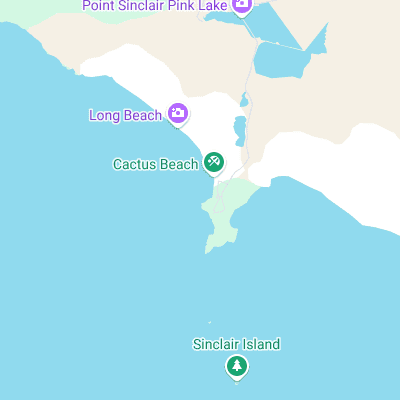 Cactus surf map