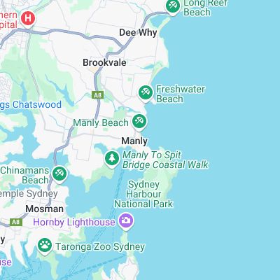 Manly surf map