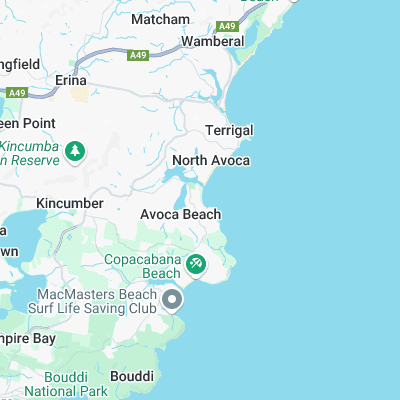 Pines surf map