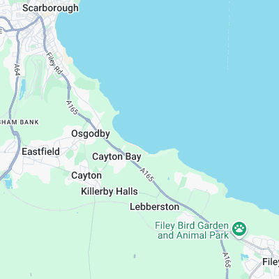 Cayton Bay surf map